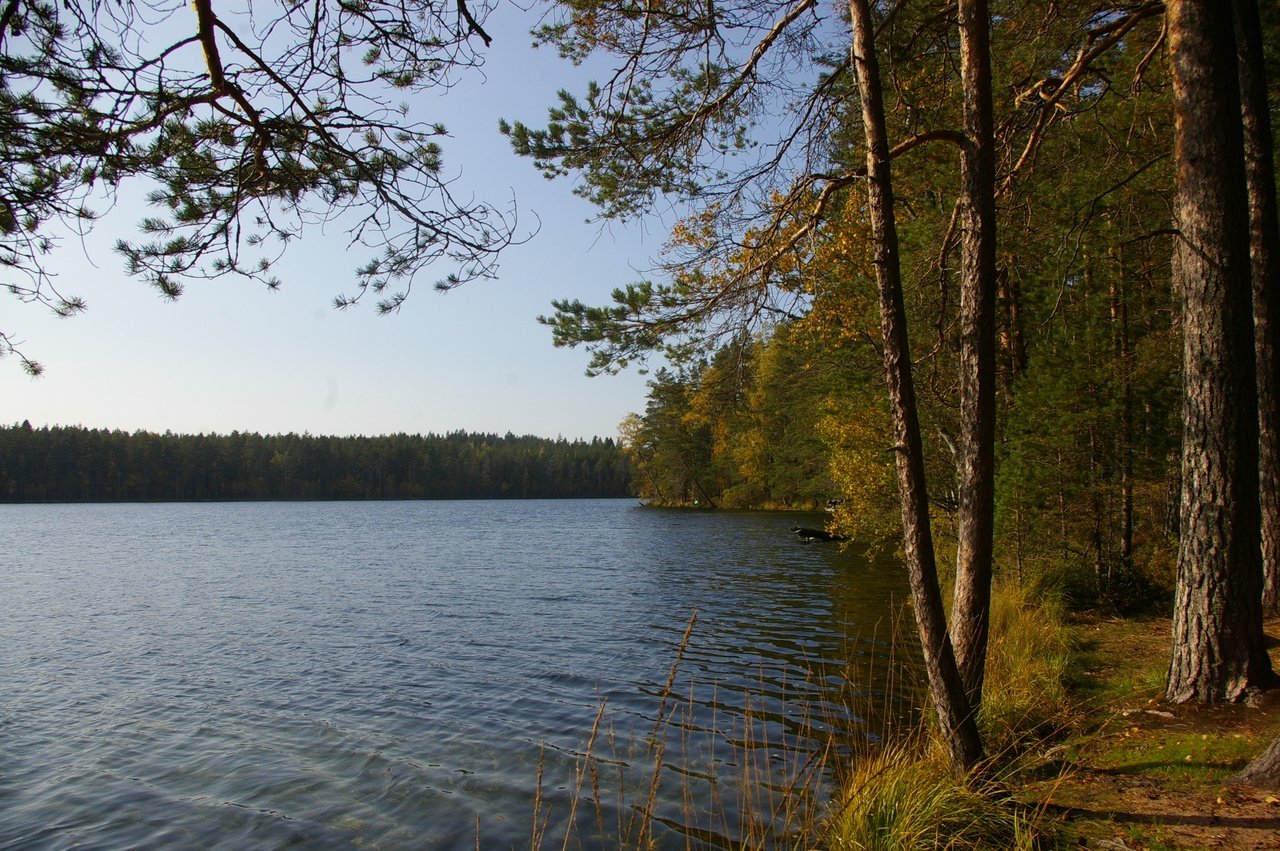 Невское озеро Ленинградская область