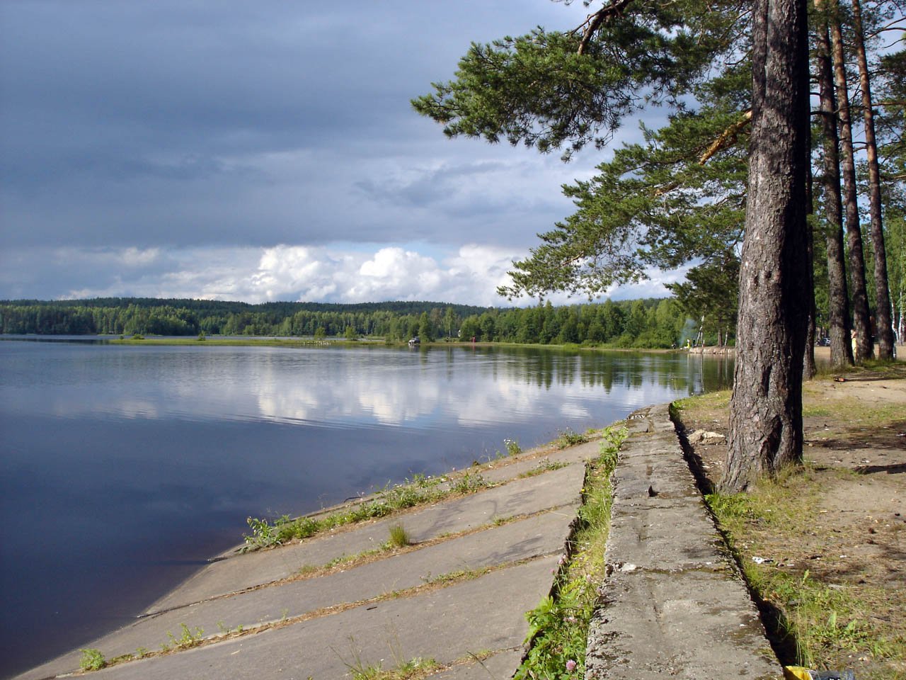 Оз медное. Медное озеро Ленинградская область. Кавголовское озеро. Чайное озеро в Токсово. Кавголовское озеро Ленинградская.