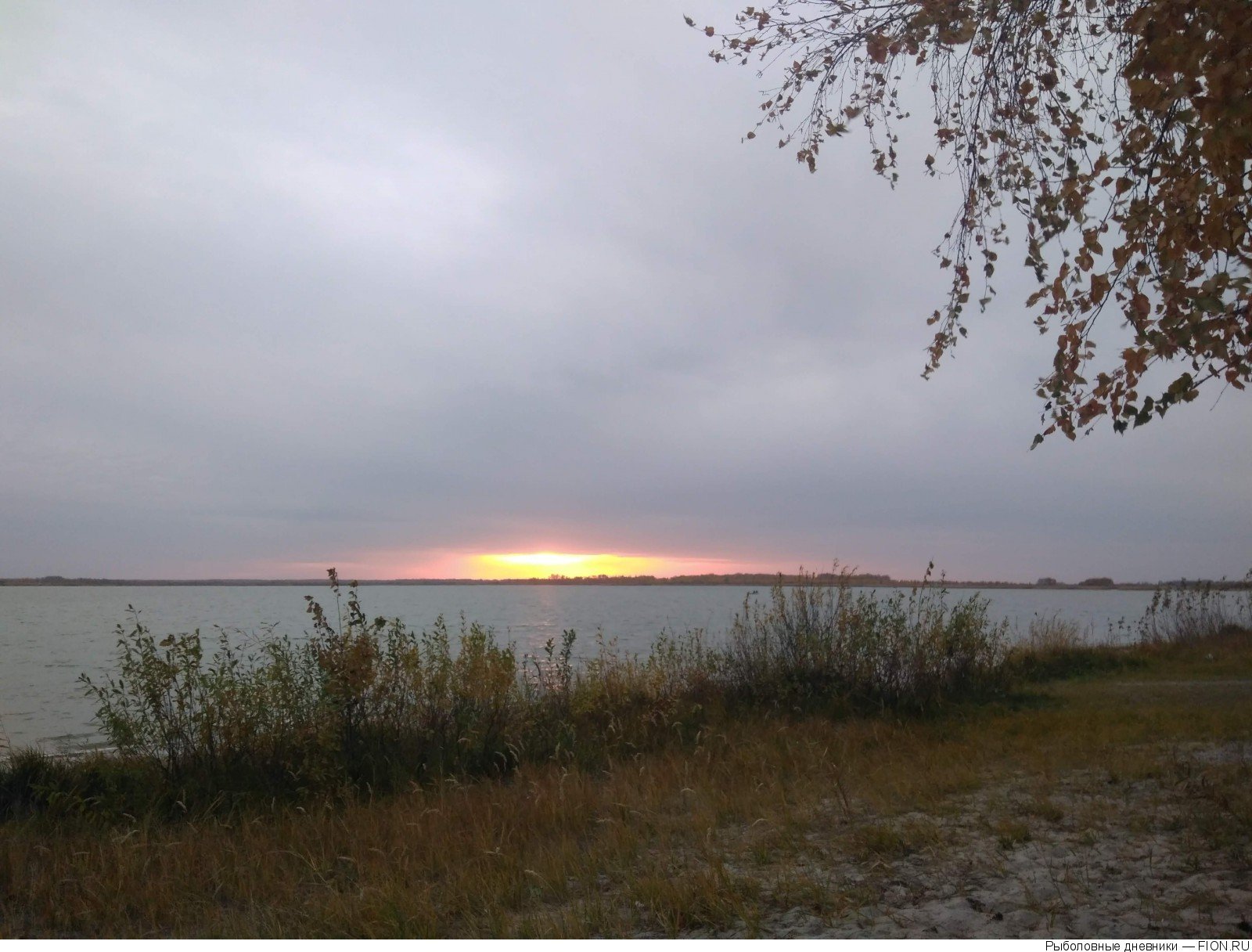 Озеро сугояк челябинская. Озеро Сугояк 2 Челябинская область. Озеро Сугояк Челябинск. Поселок Лазурный озеро Сугояк. Озеро Сугояк пляж.