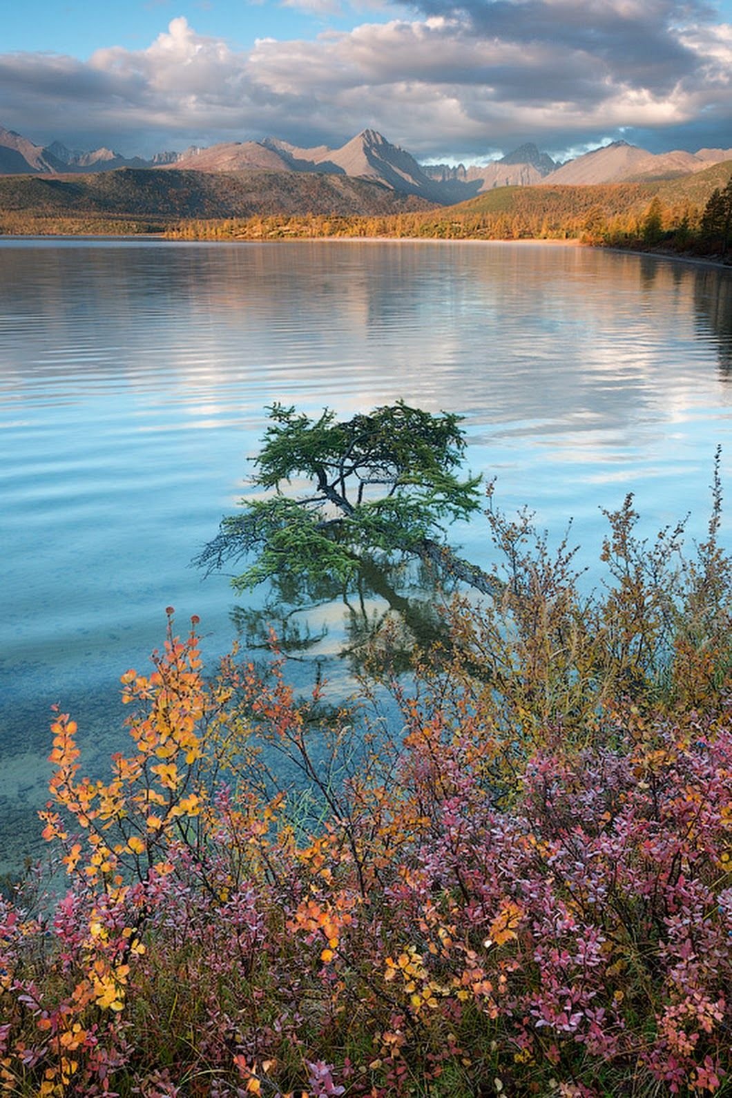 Природа озера Джека Лондона в Магаданской области
