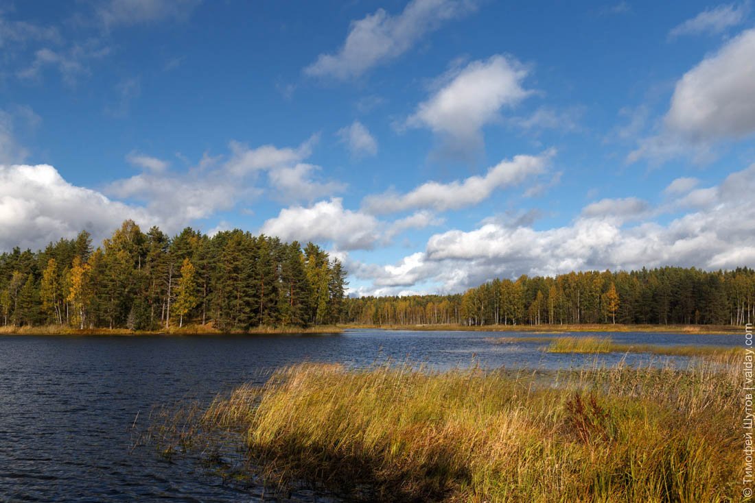 Озеро русское валдайский район фото