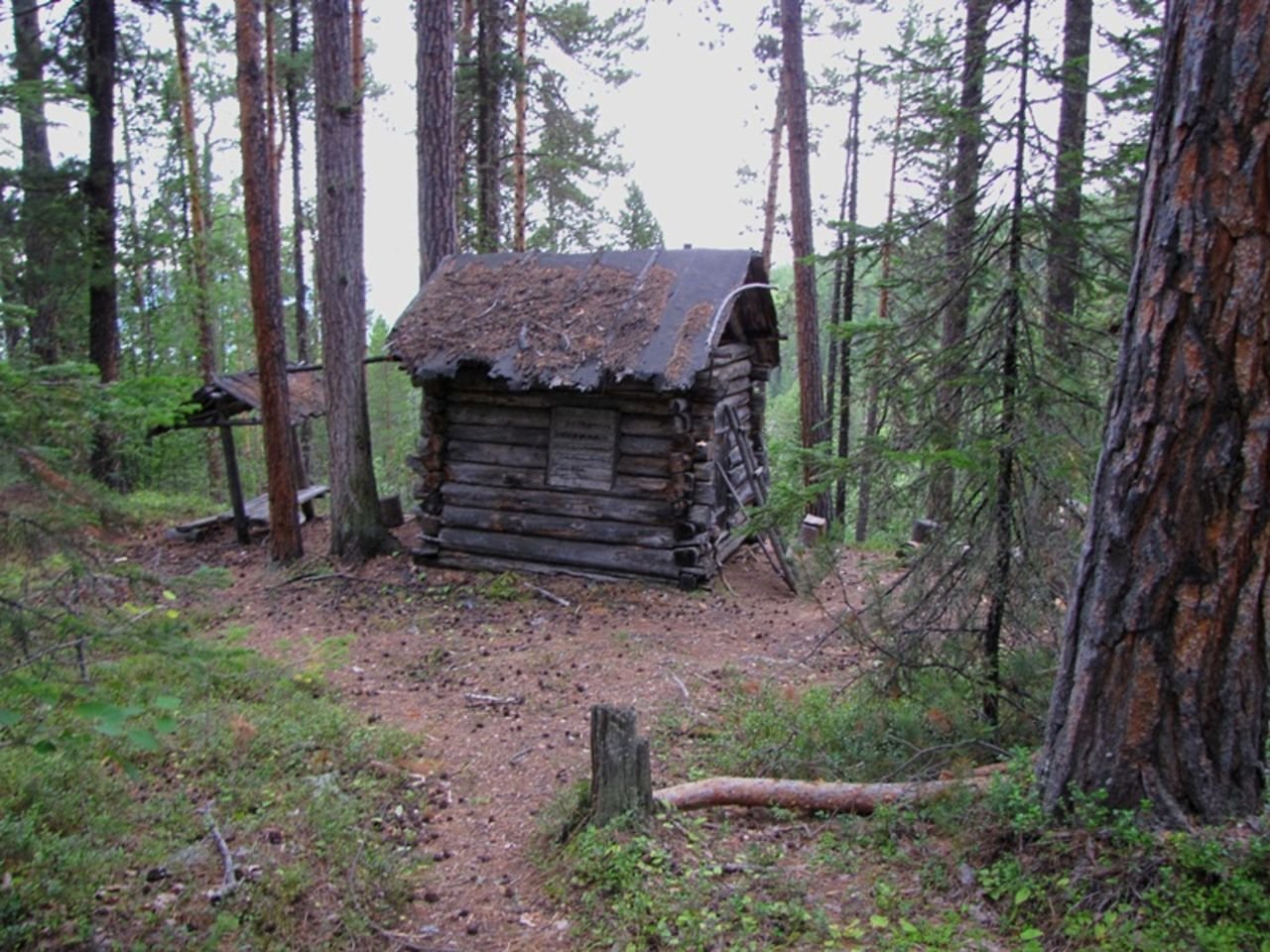 Изба лесника. Заимка охотника в тайге. Заимка лесника. Охотничьи заимки в тайге. Лесные заимки в тайге.