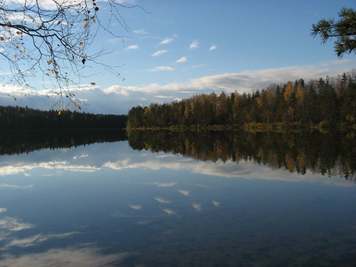 Любимовское озеро в ленинградской области фото