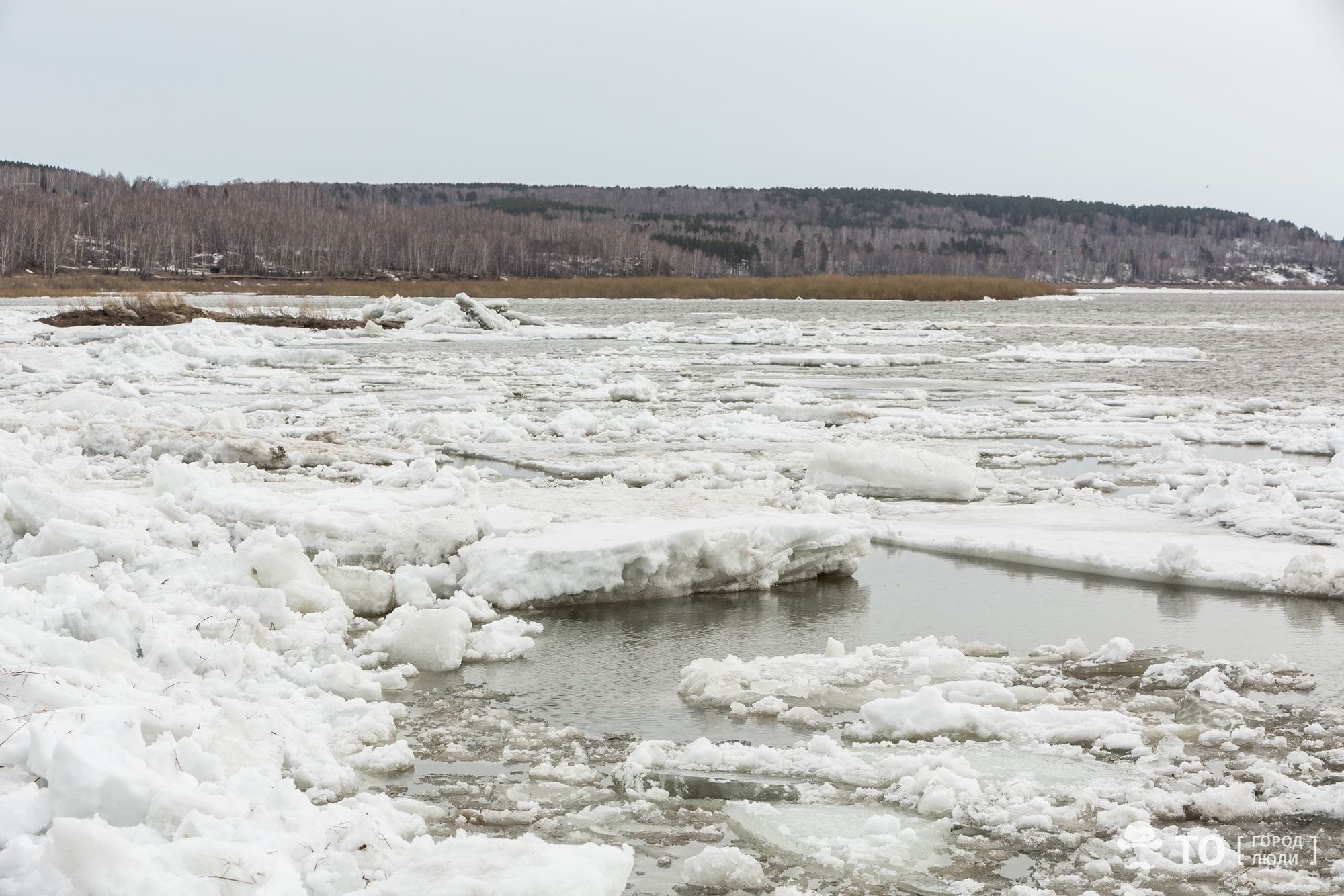 Начало ледохода реки. Ледоход на Томи 2022. Ледоход на Северной Двине 2023. Ледоход Оренбург 2023.