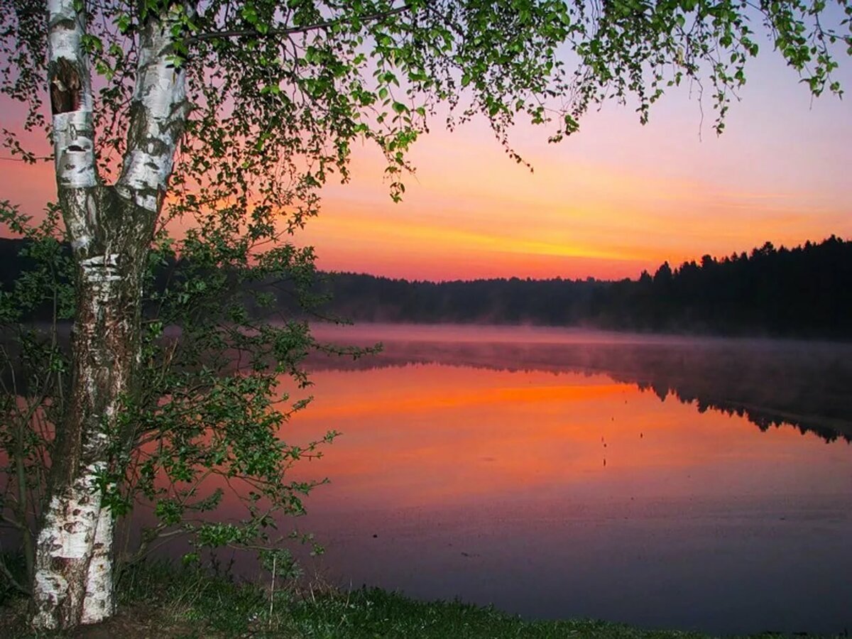 Стих Есенина Выткался на озере алый цвет зари