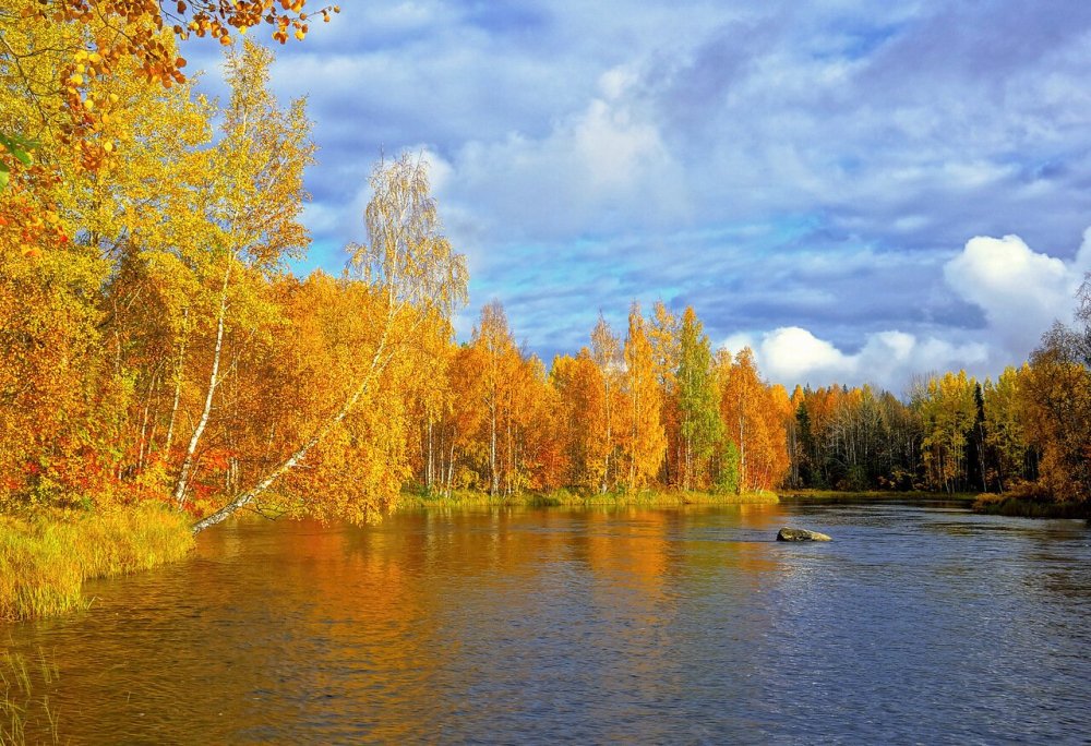 Осень Золотая Карелия Сегежа