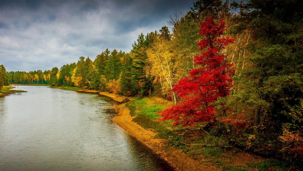 Природа лес река осень