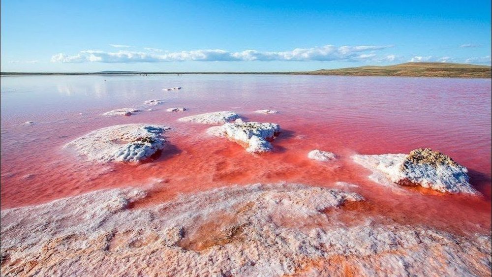 Соленое озеро Крым розовое Кояшское
