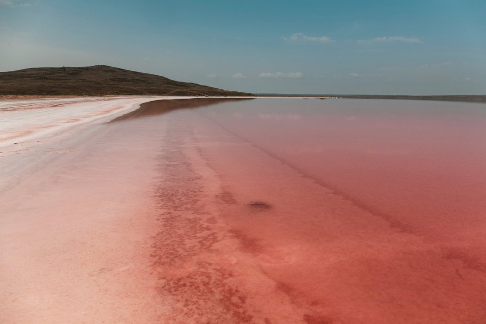 Розовое озеро Крым Опук