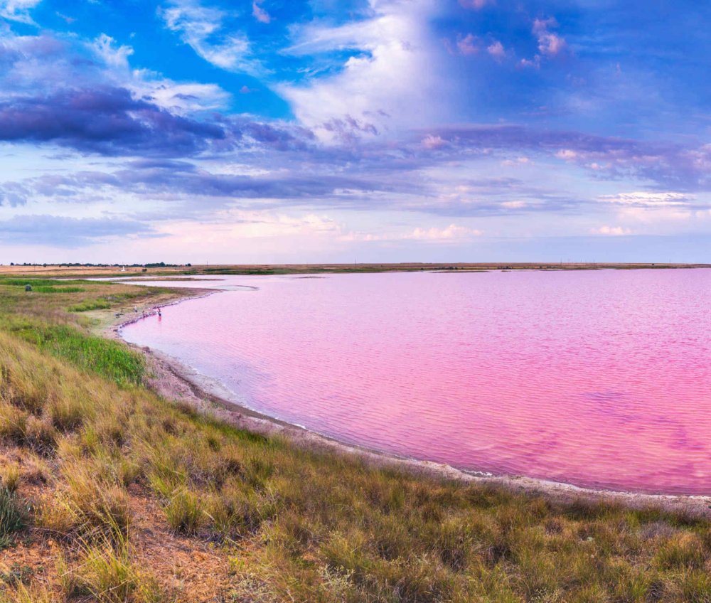 Оленевка Крым розовое озеро