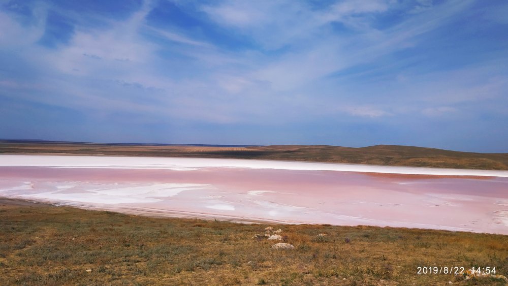 Оленевка розовое озеро