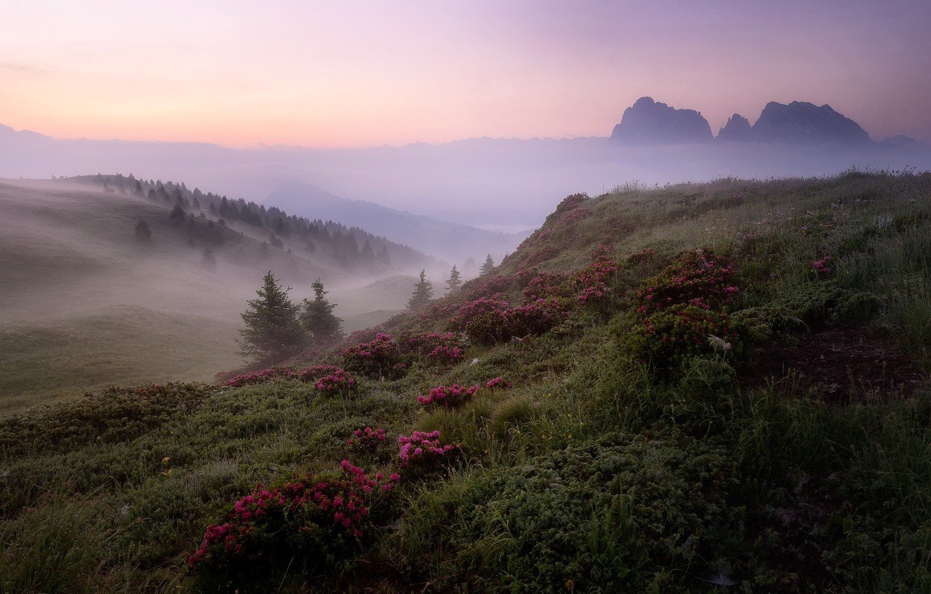 туман фото в хорошем качестве