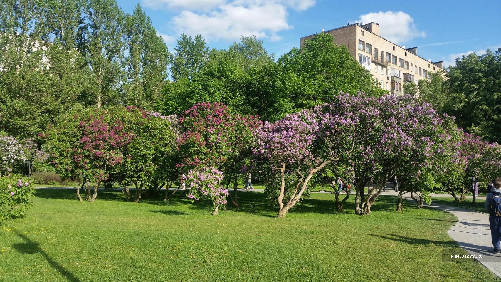 Сиреневый сад в москве