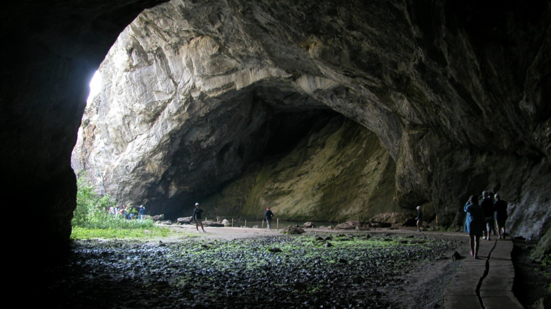 Пещера обычная
