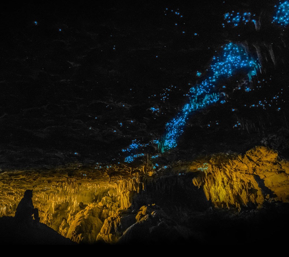 Новая зеландия пещера светлячков вайтомо фото