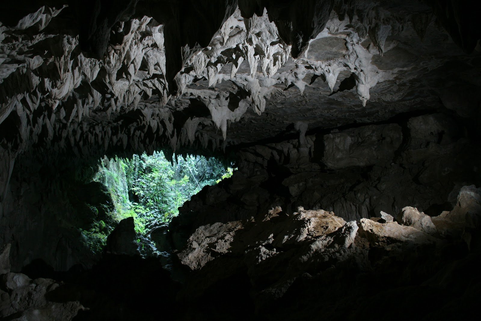 Sky cave. Пещеры Вайтомо новая Зеландия. Пещера светлячков новая Зеландия. Пещеры светлячков Вайтомо. Пещеры светляков Вайтомо, новая Зеландия.