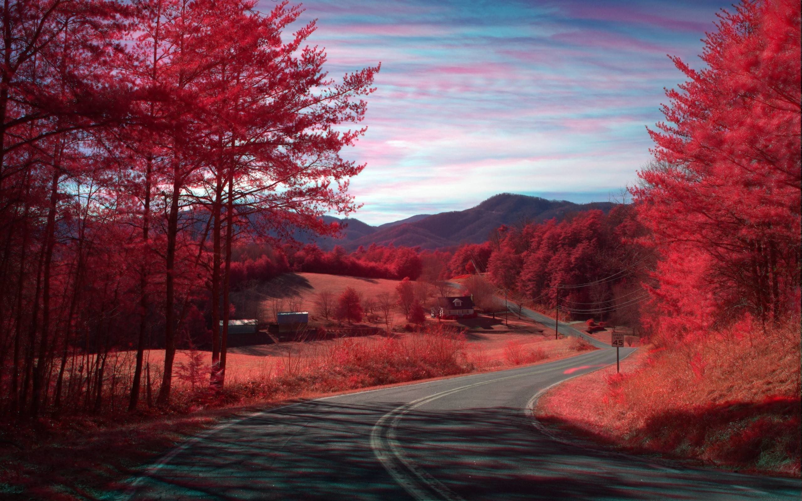 Величественными багряными. Пейзаж. Красный пейзаж. Пейзаж в Красном цвете. Красная осень.