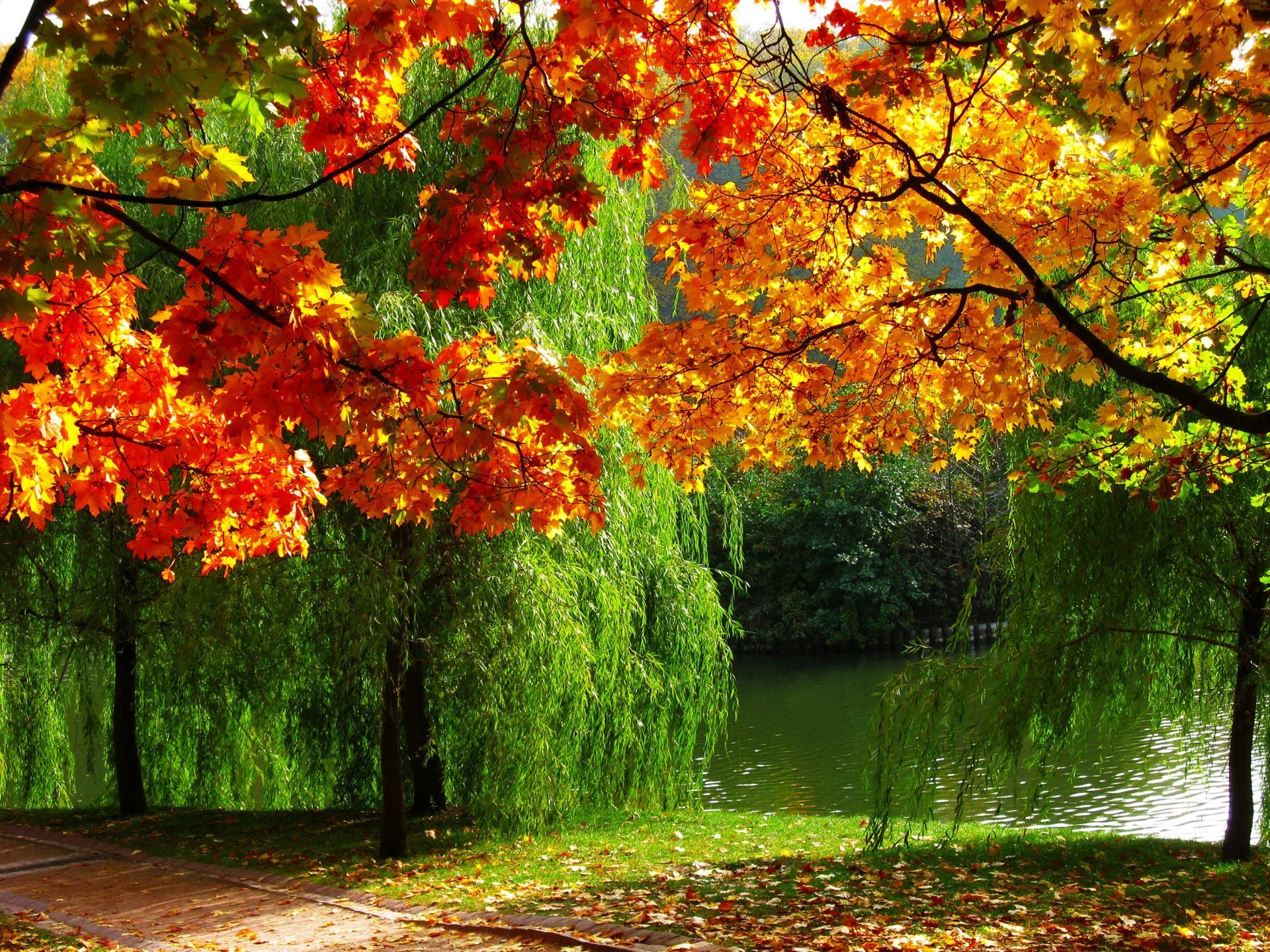 Золотая осень природа (58 фото) - 58 фото