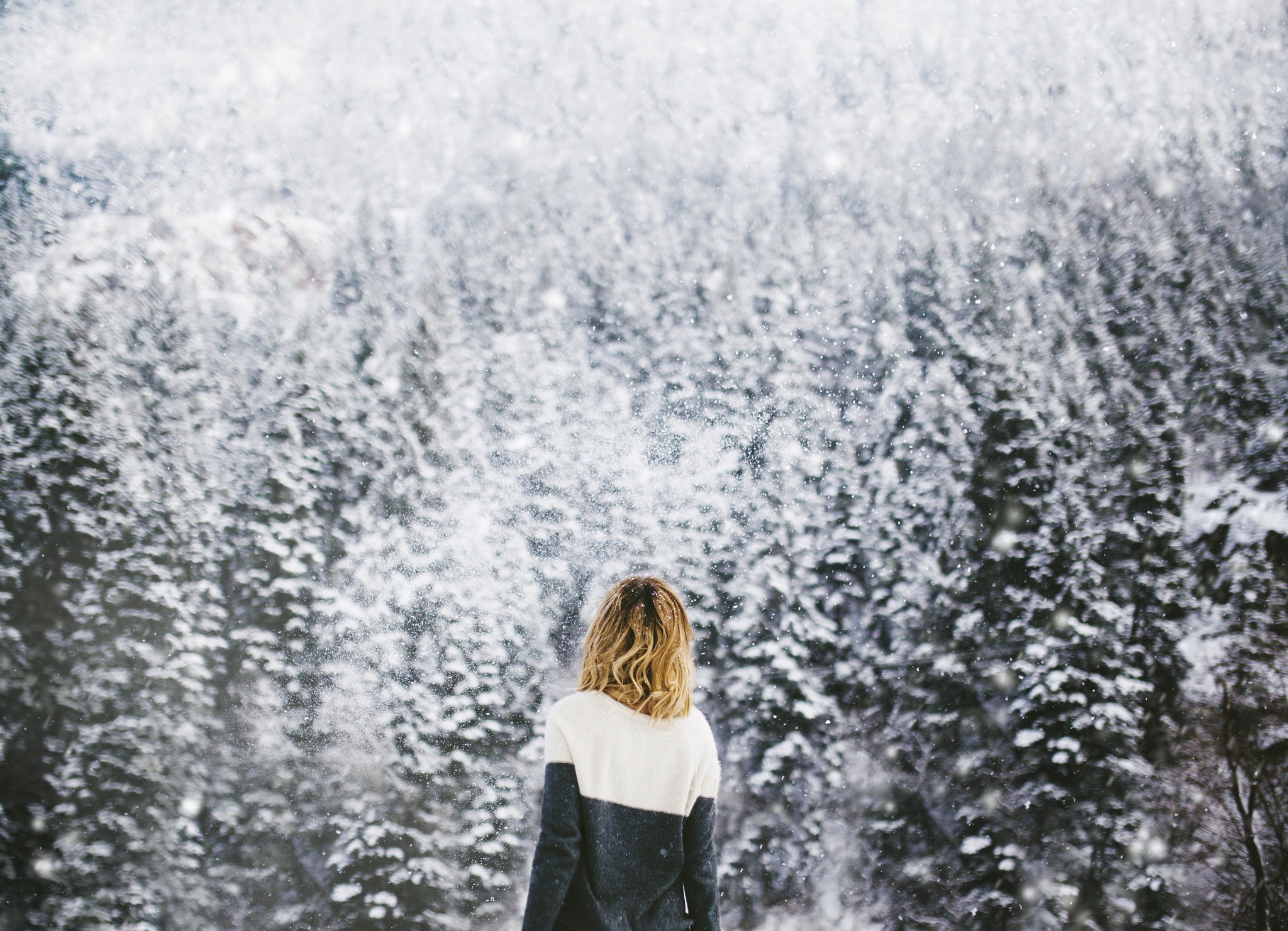 Фото девушек зима спиной. Девушка со спины в снегу. Девушка зимой со спины. Девушки в снегу сл спины. Блондинка зимой.