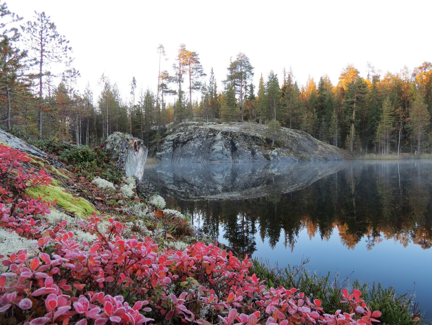 Карелия в мае фото