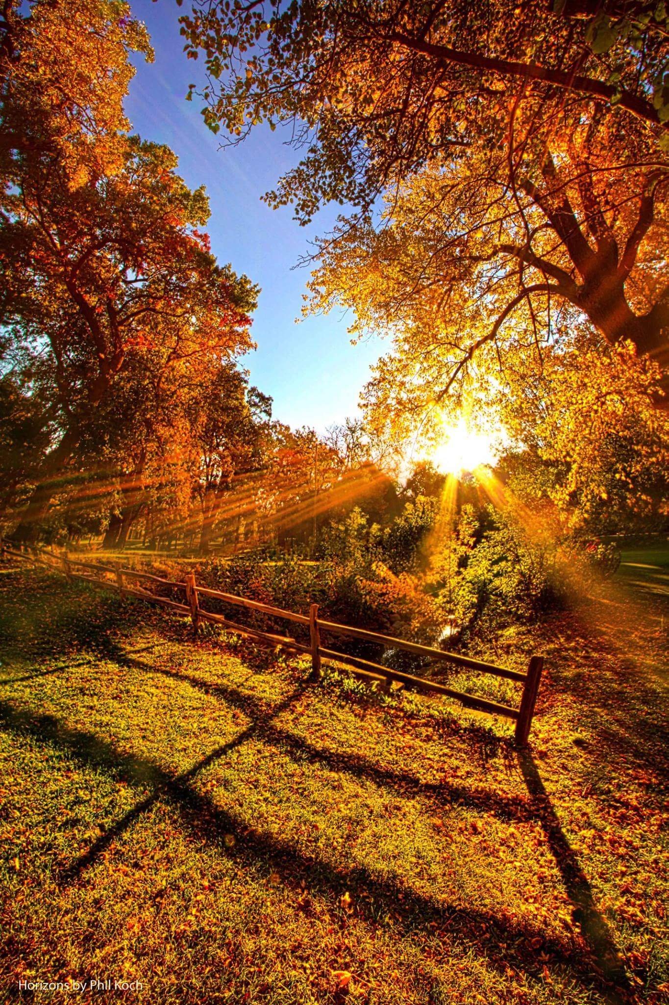 Осенний день картинки. Солнечная осень. Осень солнце. Солнце осенью. Тёплая осень.