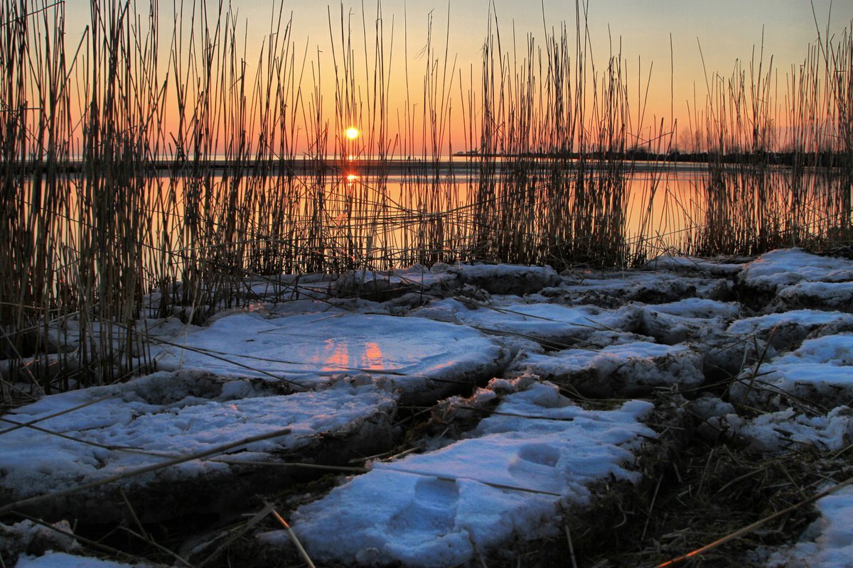 Фото весеннего рассвета