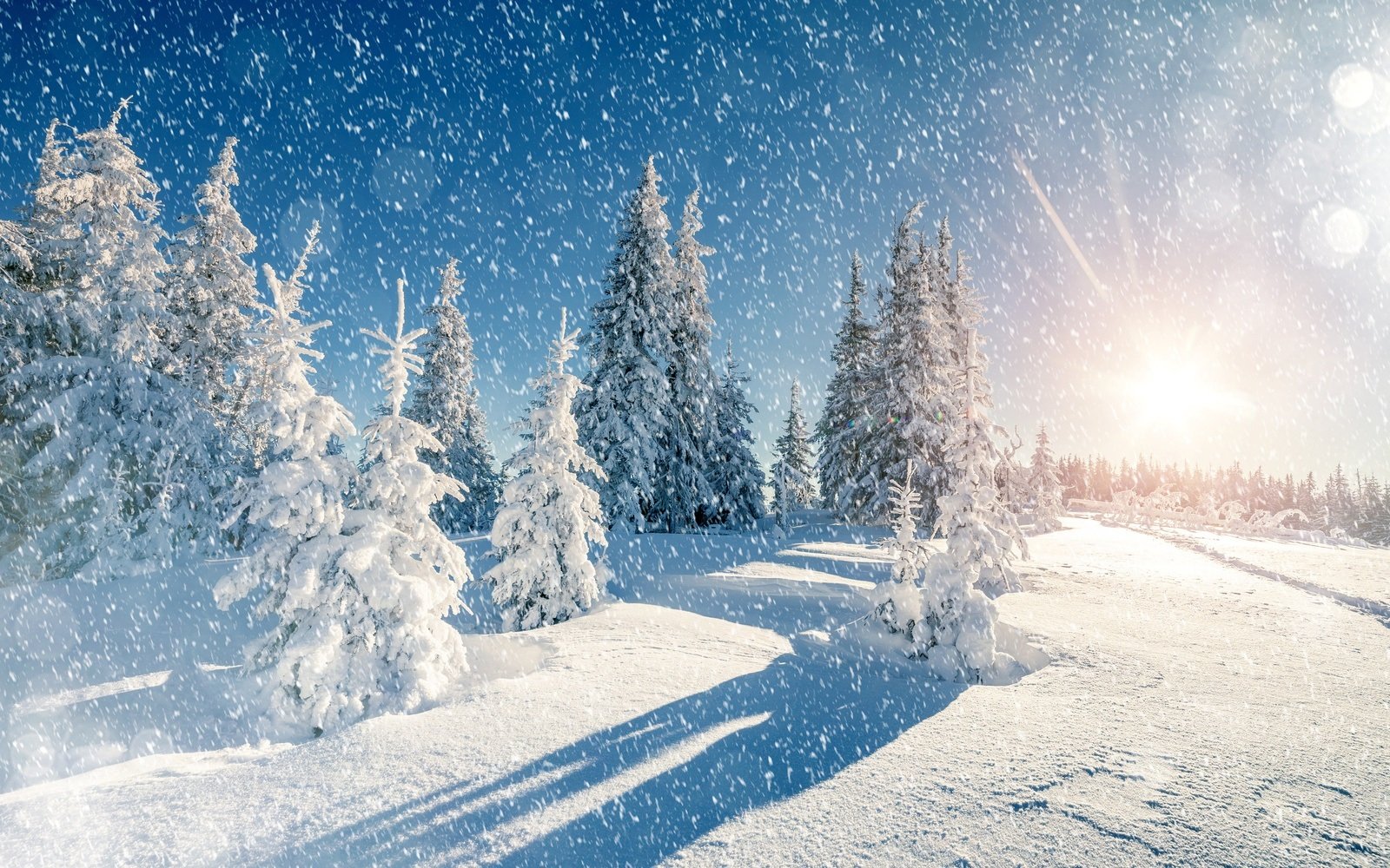 Зимний снежный день (55 фото) - 55 фото