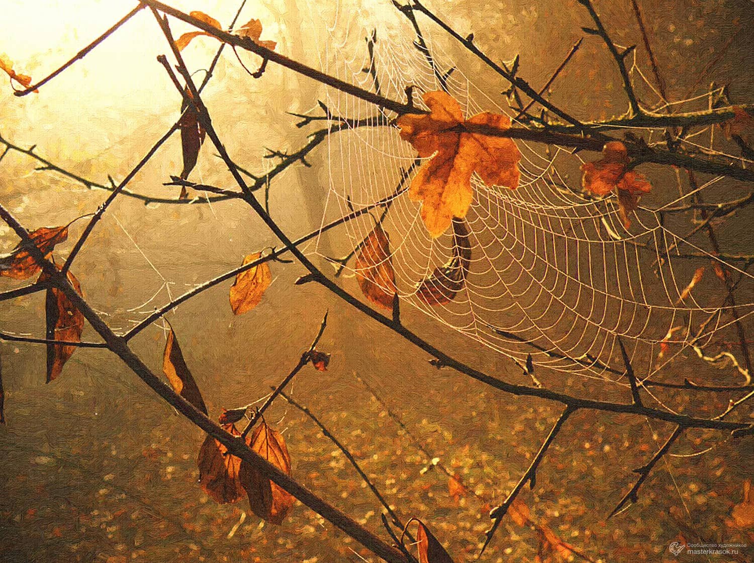 Осенний лист в паутине