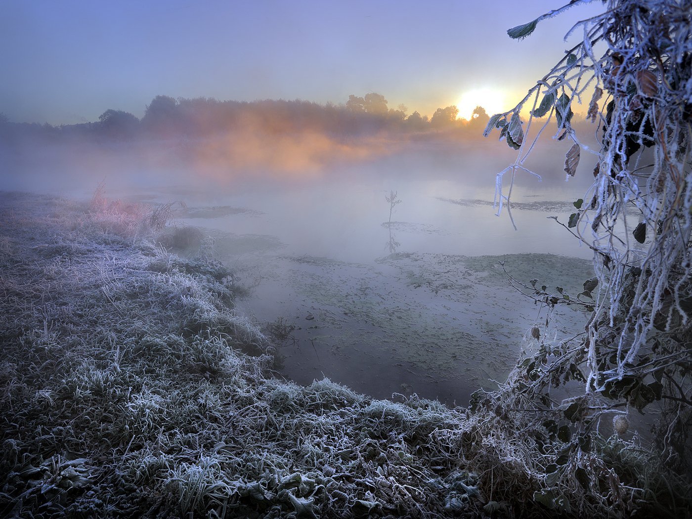 Какие есть состояния природы. Ноябрь туман. Морозное осеннее утро. Морозное утро. Состояние природы.