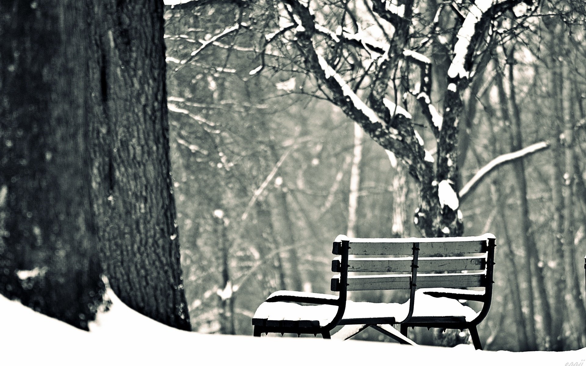 Грусть зимой. Скамейка зимой. Зима одиночество. Скамейка в зимнем парке. Скамейка в снегу.