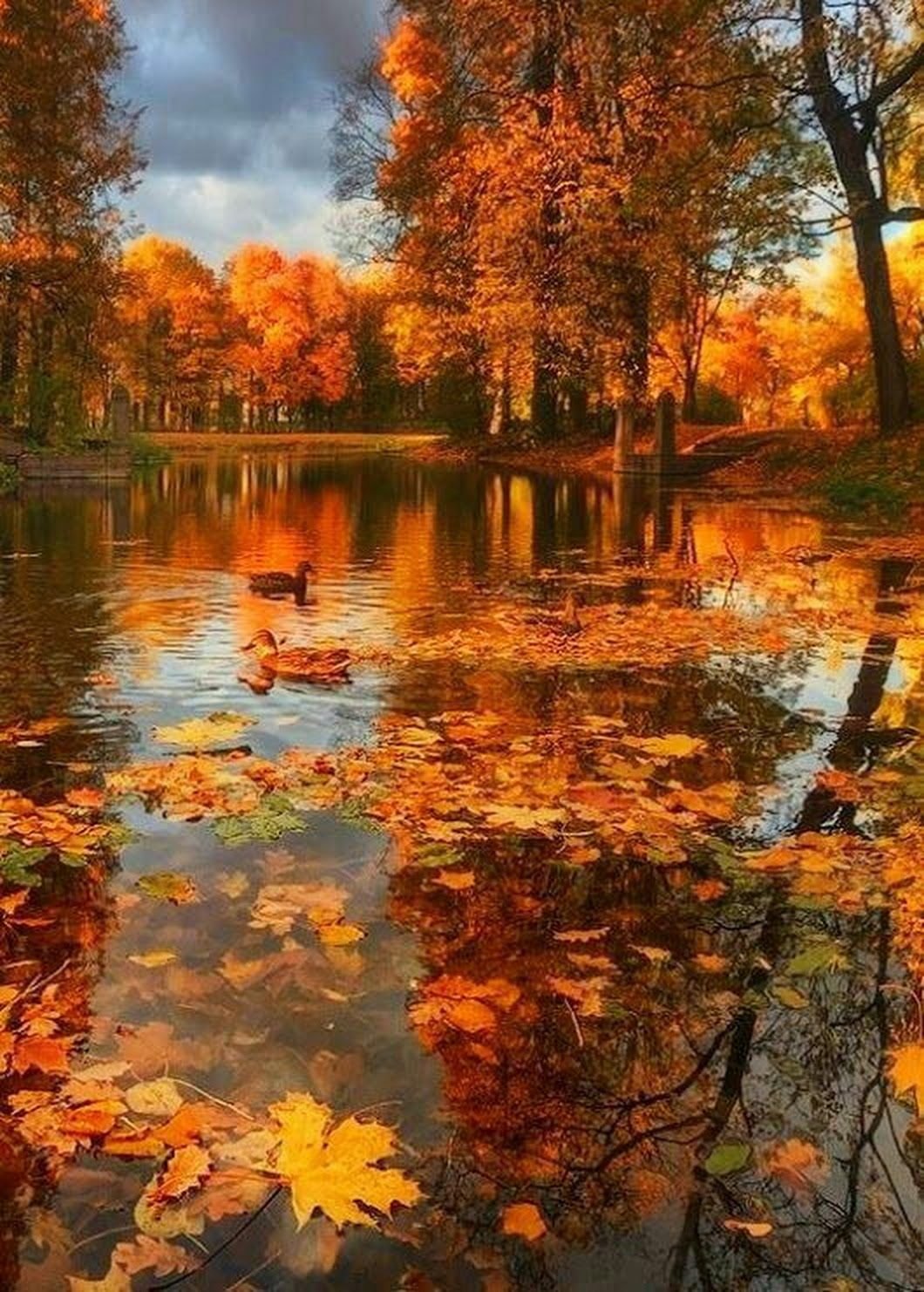 Осенний пейзаж вертикальный