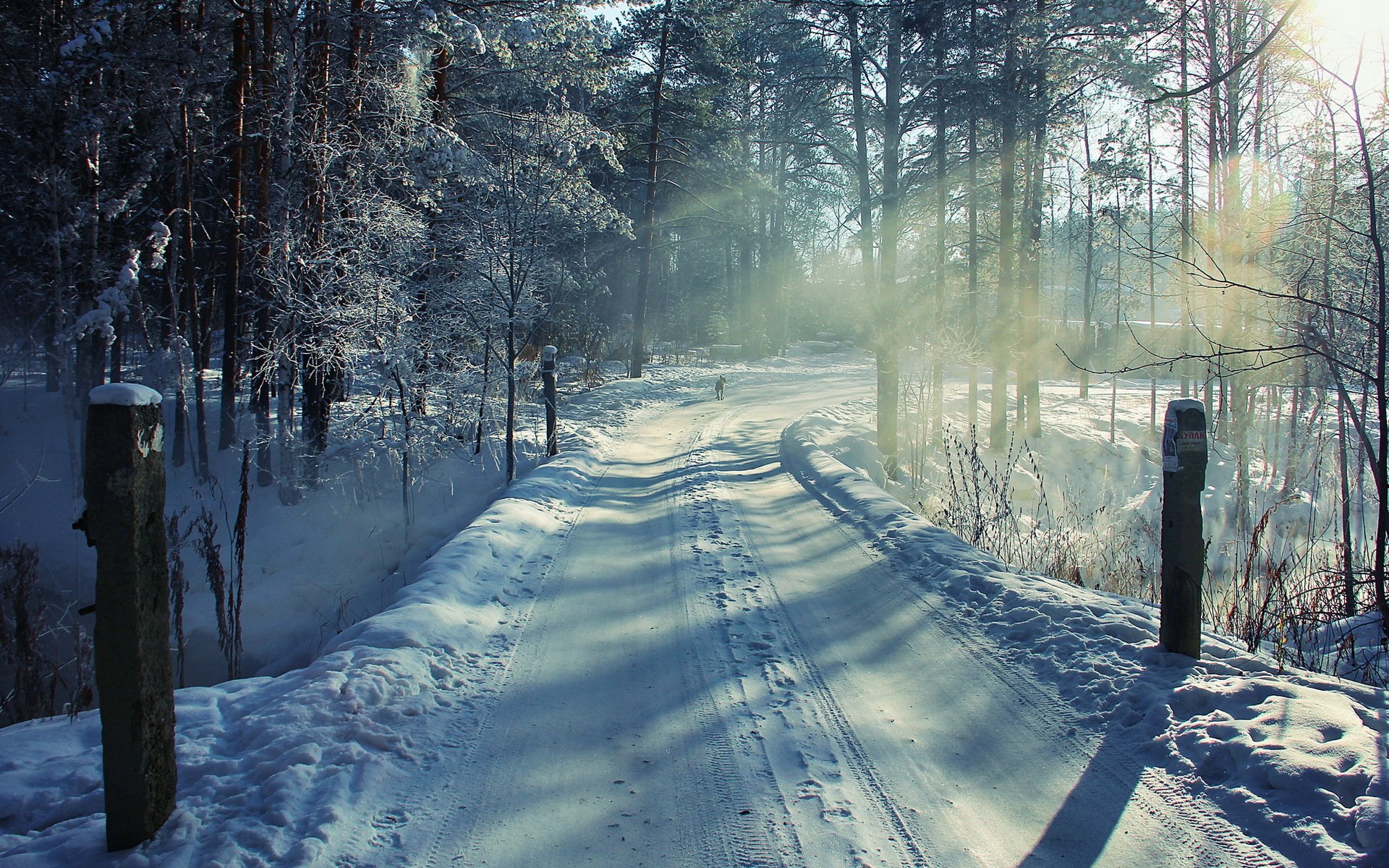 Самые нужные зимой. Зима в лесу. Зимняя дорога в лесу. Зимние картинки на рабочий стол. Тропинка в зимнем лесу.