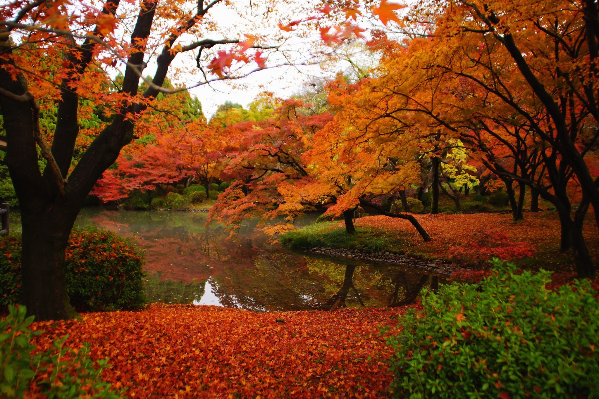 Осень очень красива. Красивая осень. Осень прекрасная пора. Времена года осень. Красивые осенние виды.