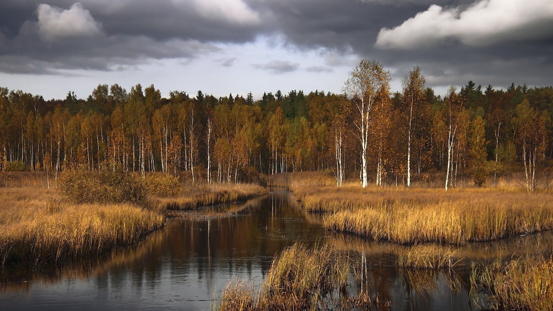 Осенняя река Карелия