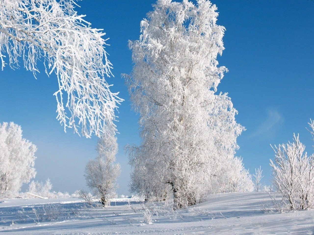 Январский день. Красивая зима. Зимний день. Солнечный зимний день. Морозная зима.
