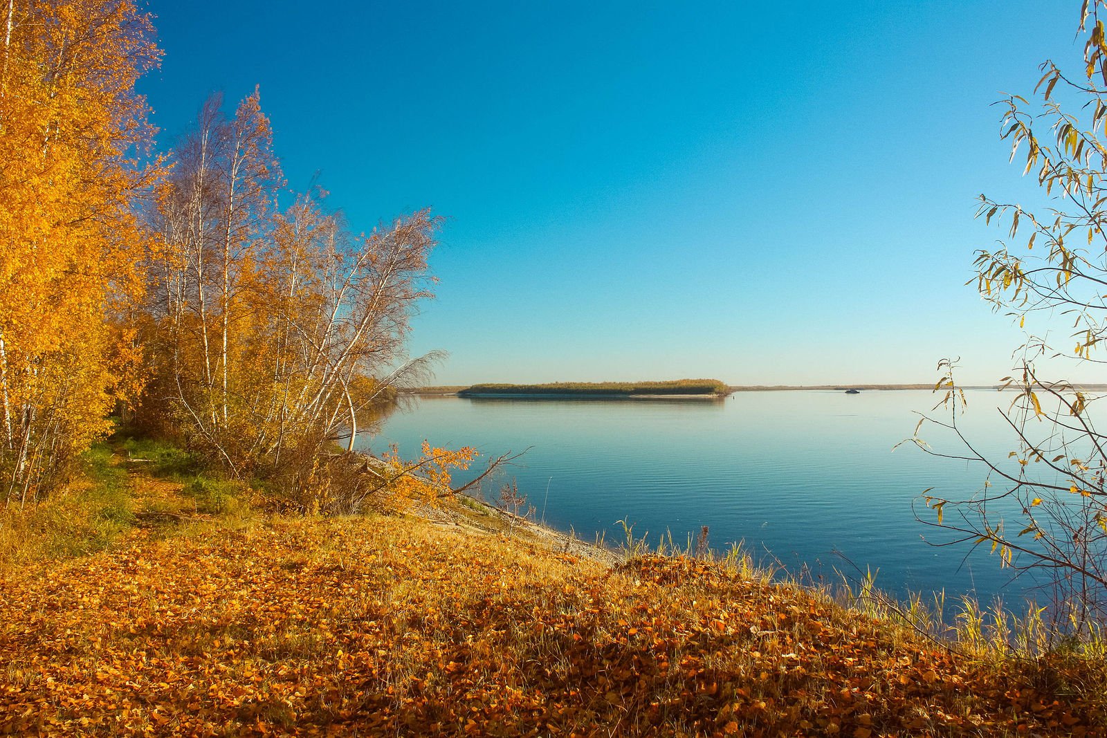 Осенний берег. Осень на море. Осеннее побережье. Осень берег. Золотая осень на море.