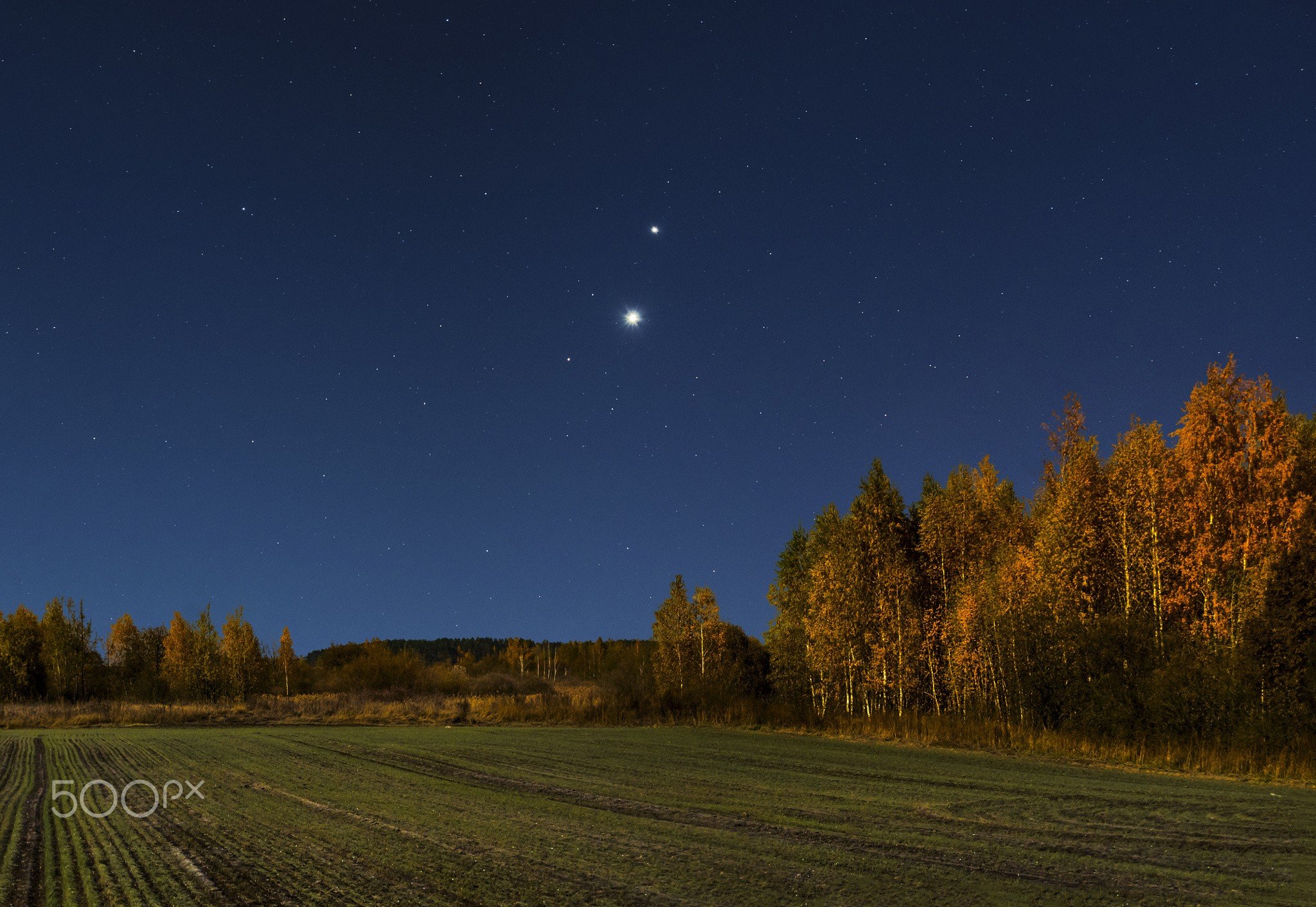 Звезды над россией. Ночное небо в деревне. Звездное небо осенью. Осеннее небо. Звездное поле.