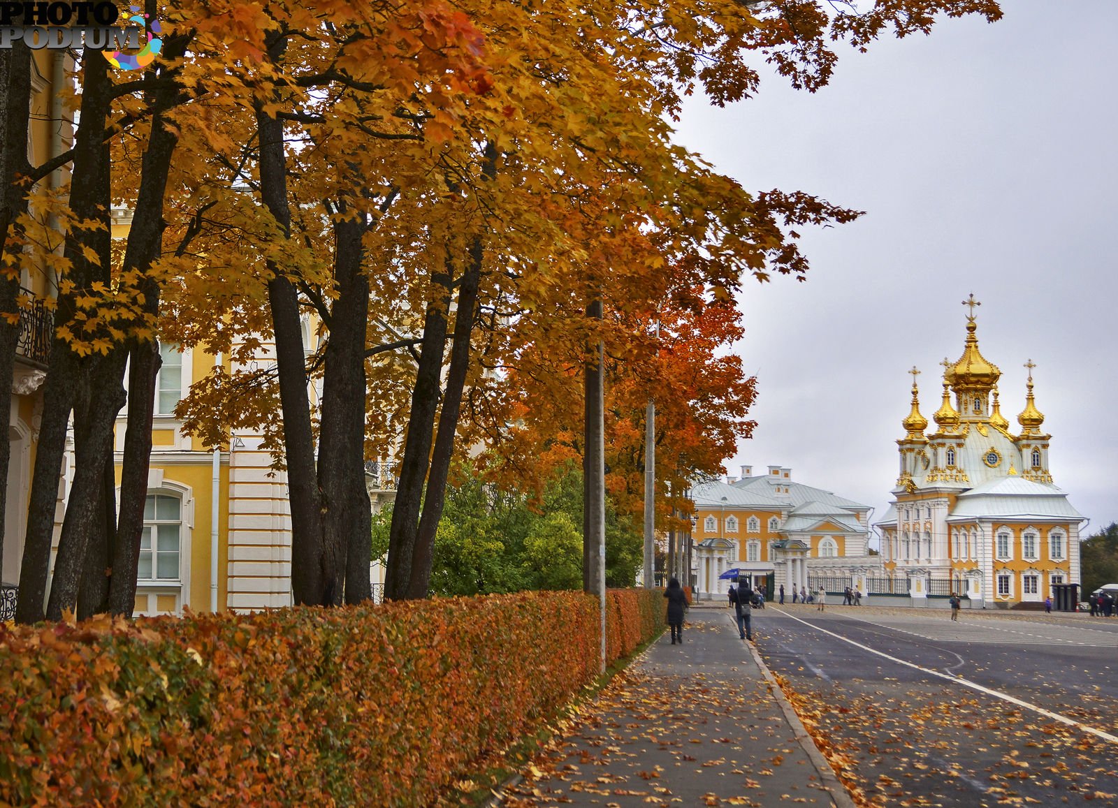 Октябрь 2023 спб. Санкт-Петербург осень Петергоф. Петергоф осень. Невский осенью. Петергофские улицы осенью.