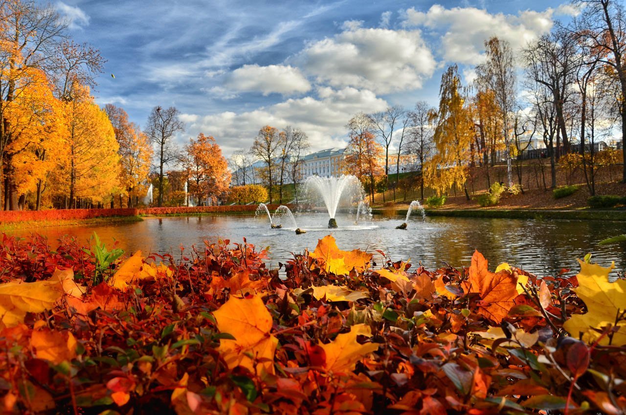 Петергоф осень