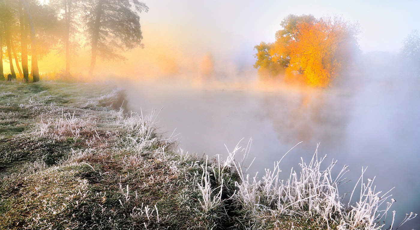 Осенний воздух свеж. Утренний рассвет. Рассвет туман. Солнце в тумане. Осень туман.