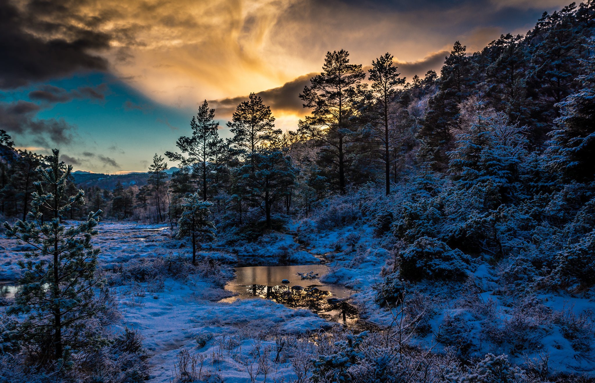 Леса Норвегии зимой (57 фото) - 57 фото