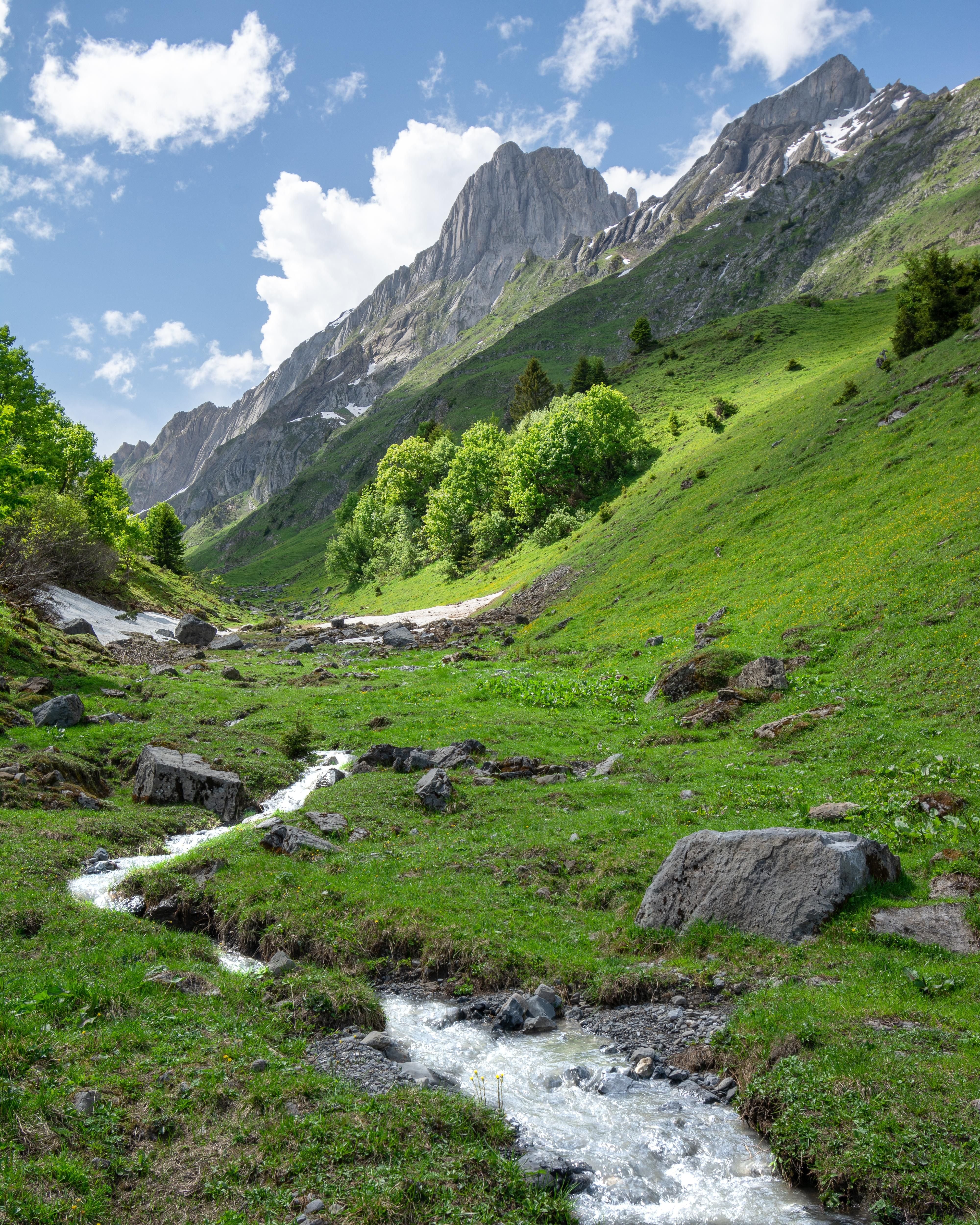 Kavkaz. Горы Северного Кавказа. ГОРНЬЙ джайлоо Кавказа. Швейцария Кавказ. Природа горы Кавказа.