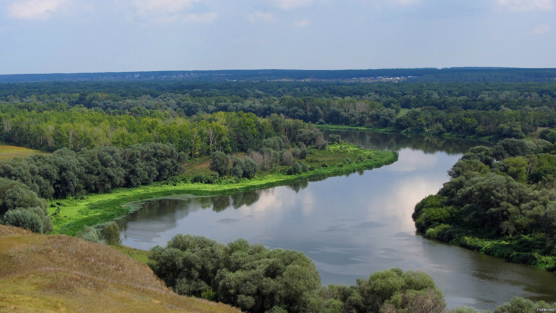 Природа Воронежской области река Дон