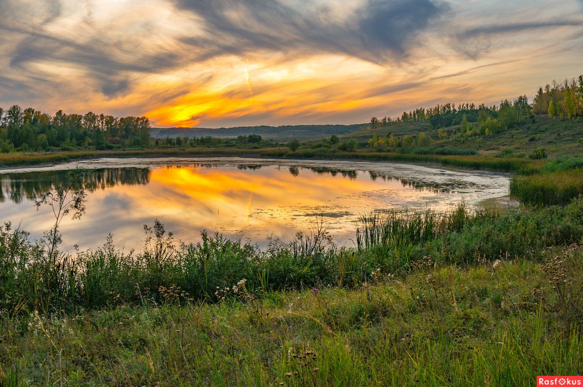 Природа в городе фотоконкурс