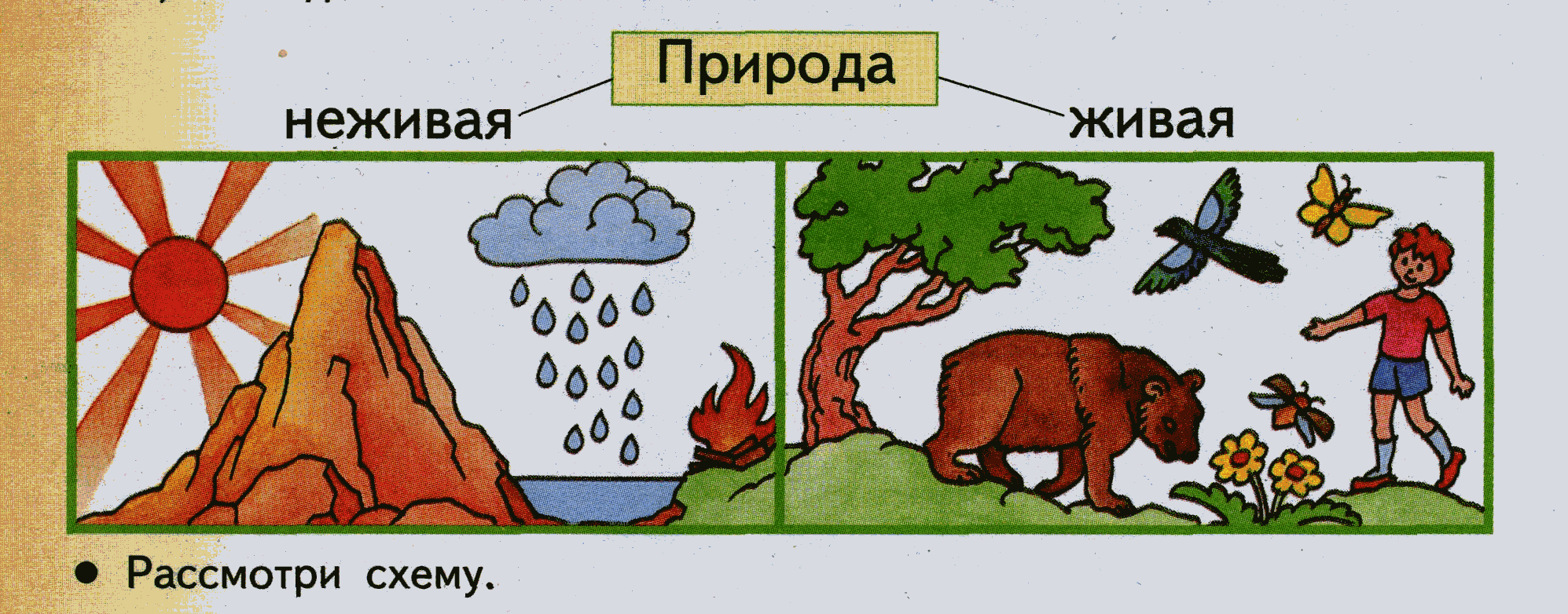 Времена года