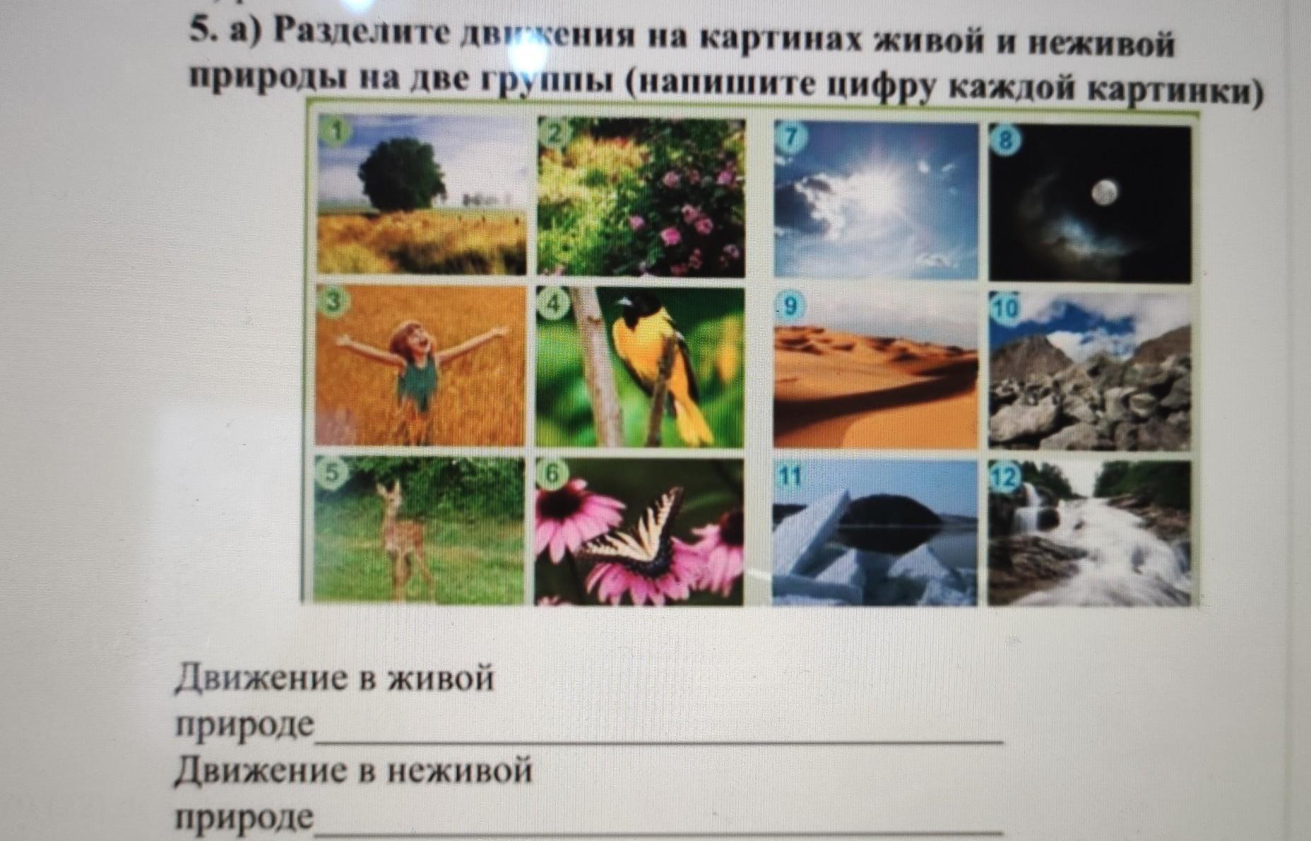 Переход от неживого к живому. Объекты живой и неживой природы. Живая и неживая природа картинки. Выбери объекты живой природы. Превращение неживой природы в живую.