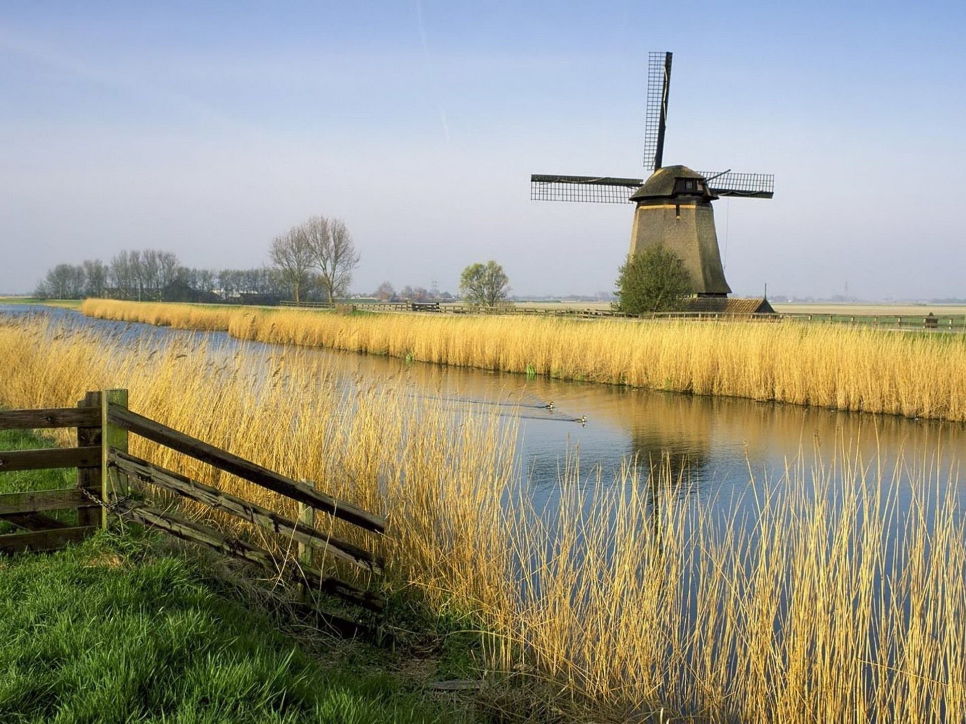 See countryside. Нидерланды поля мельница. Мельница в деревне. Ветряные мельницы в Нидерландах. Нидерланды природа.