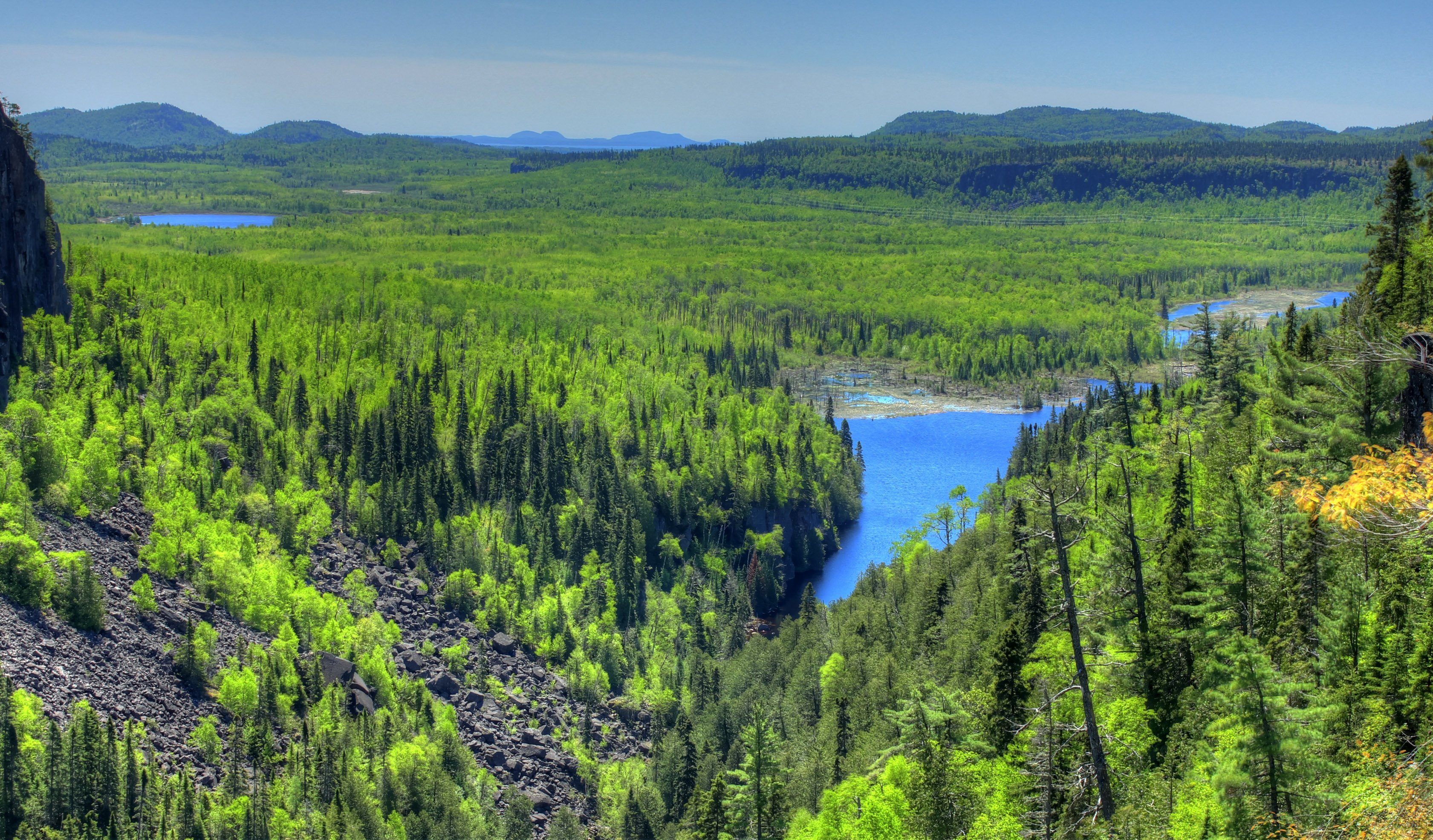 Природные области сибири. Зона тайги в Канаде. Бореальные леса Канады. Бореальные леса Северной Америки. Тайга Евразии.