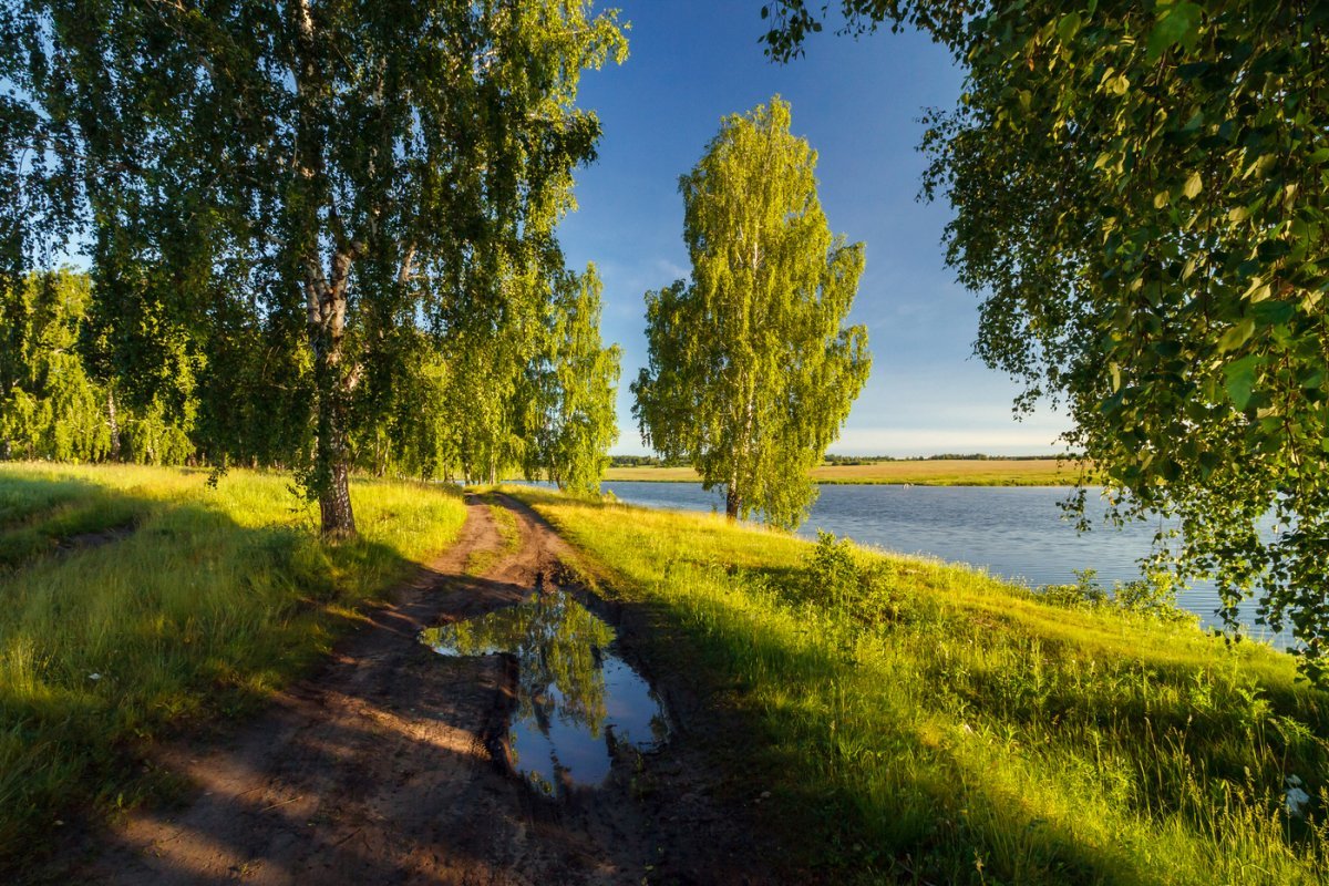 Глэмпинг — отдых на природе с комфортом