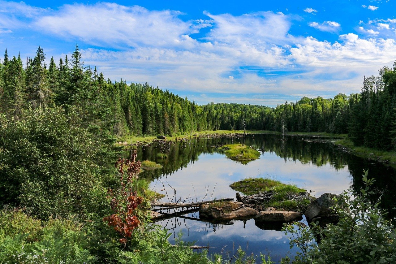 Красивые места в Тюмени природа